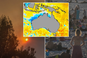 El Niño Tại Úc: Nguy Cơ Tăng Cao Ung Thư Da Và Lời Cảnh Báo Cho Du Học Sinh