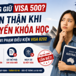 Visa 500