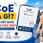coe-la-gi-visa-500-uc