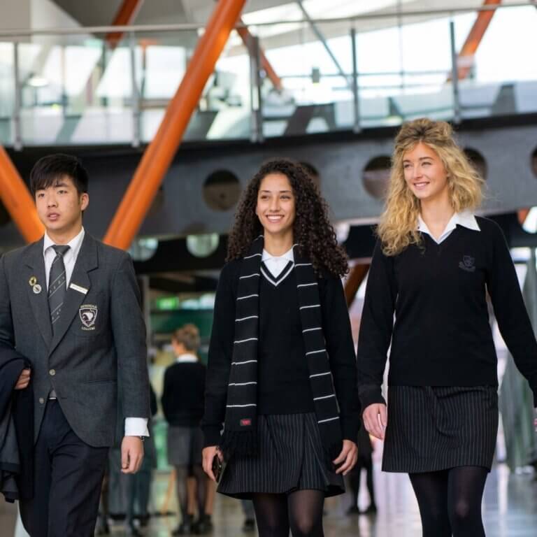 5 Điều “Kiwi Kiwi” Về Nền Giáo Dục New Zealand