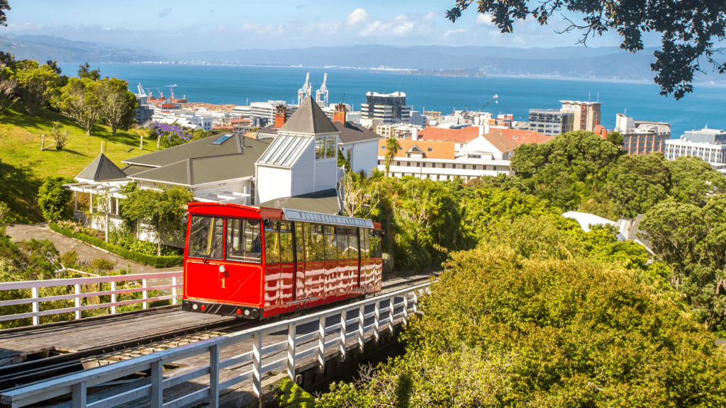 du học New Zealand