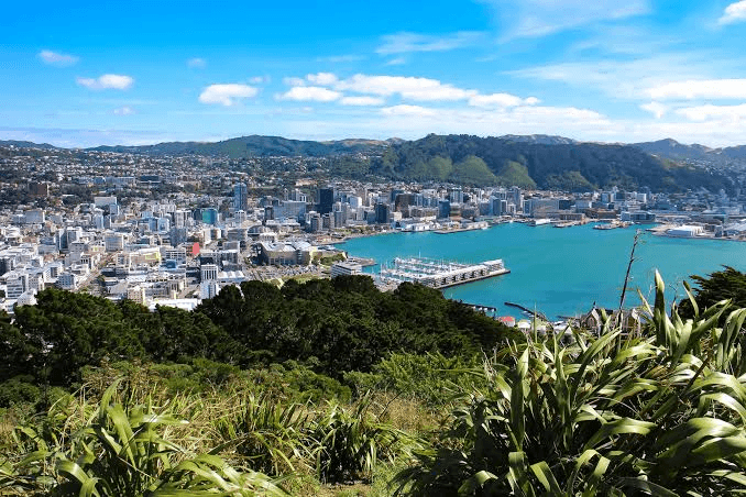 du học New Zealand